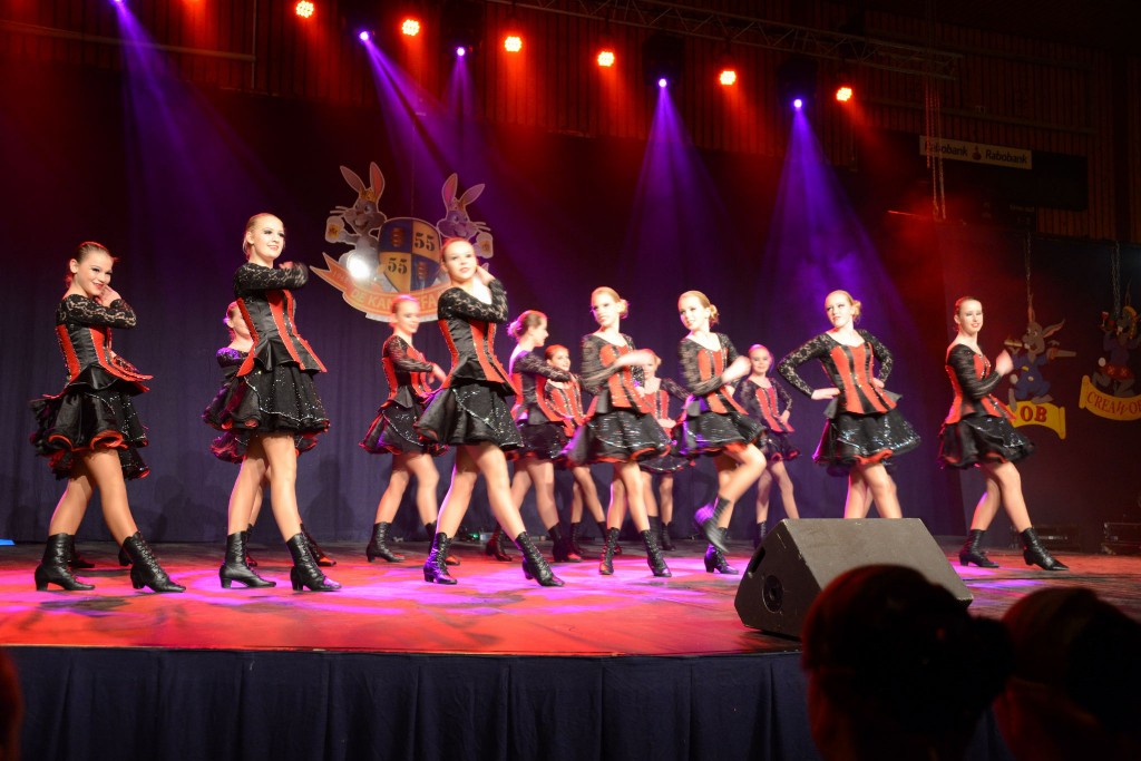 ../Images/Dansmarieke festival 2015 155.jpg